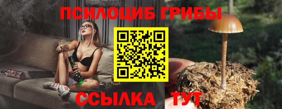 Псилоцибиновые грибы Psilocybe  Галлюциногенные грибы мицелий  где купить наркотик  Лыткарино  Вход с VPN 